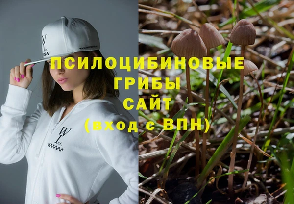тгк Новозыбков