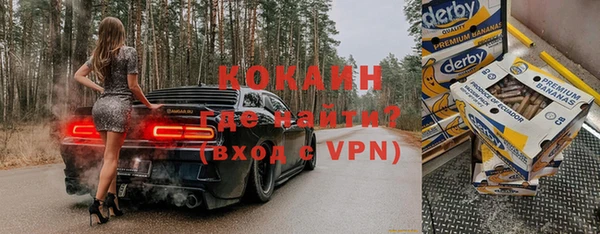 тгк Новозыбков