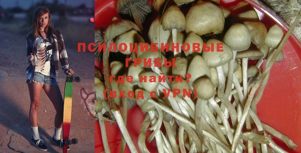 мдпв Нефтегорск
