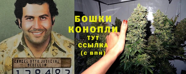 тгк Новозыбков