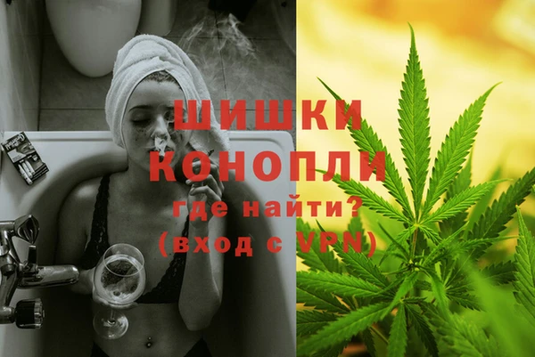 тгк Новозыбков