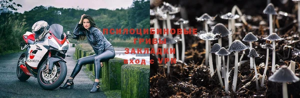 ГАЛЛЮЦИНОГЕННЫЕ ГРИБЫ Новодвинск