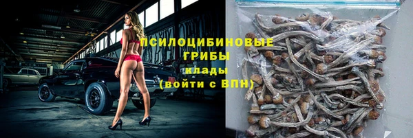 мдпв Нефтегорск