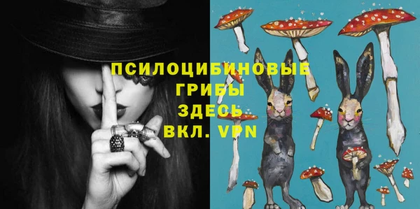 ГАЛЛЮЦИНОГЕННЫЕ ГРИБЫ Новодвинск