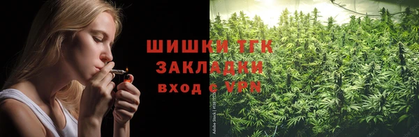 тгк Новозыбков