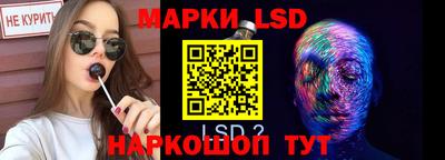 молекула духа Гатчина