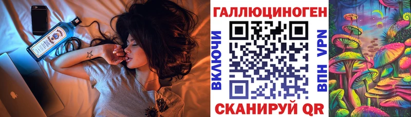 это Telegram где купить наркотик Хабаровск Псилоцибиновые грибы мухоморы MEGA маркетплейс