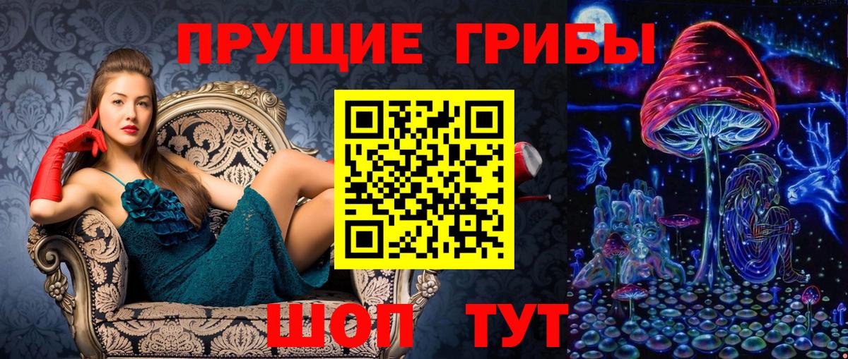 Псилоцибиновые грибы Cubensis  Вход с VPN  Хабаровск 
